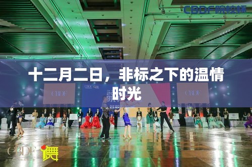 非标之下的温情时光，十二月二日的独特体验