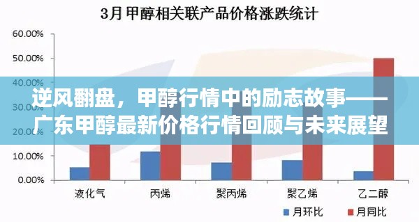 广东甲醇行情逆风翻盘励志故事，回顾过去，展望未来价格走势