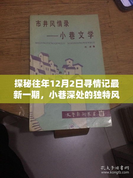 探秘往年12月2日寻情记最新一期，小巷深处的独特风情小店揭秘