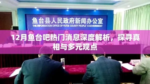 深度解析鱼台吧十二月热议话题，探寻真相与多元观点