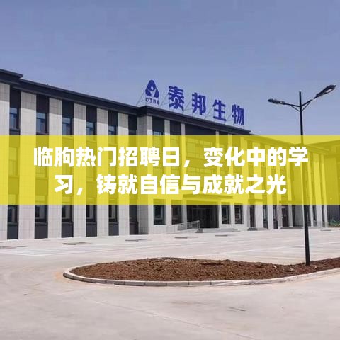 临朐热门招聘日，变化中的学习成就自信与成就之光之路