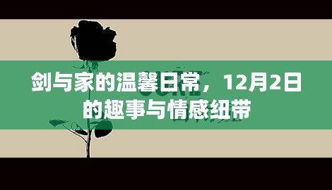 剑与家的温馨日常，12月2日趣事与情感交织的时刻