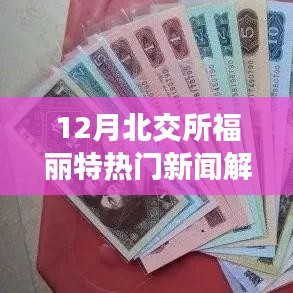 北交所福丽特热门新闻解析，聚焦十二月动态