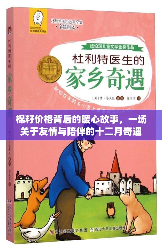 棉籽价格背后的暖心故事，友情与陪伴的十二月奇缘
