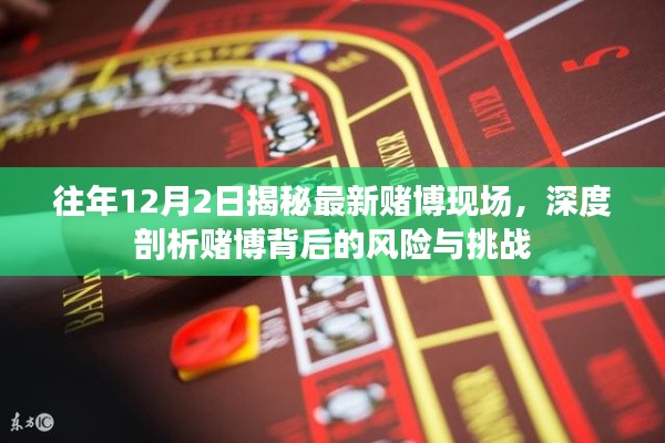 揭秘最新赌博现场，风险与挑战的深度剖析