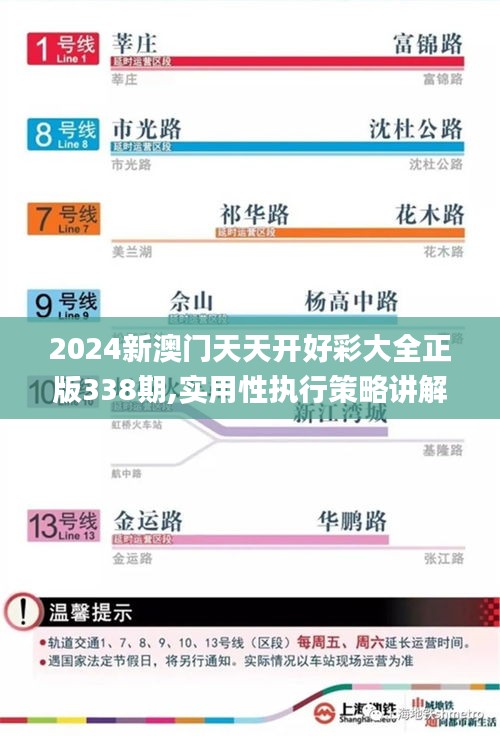 2024新澳门天天开好彩大全正版338期,实用性执行策略讲解_工具版2.444-8