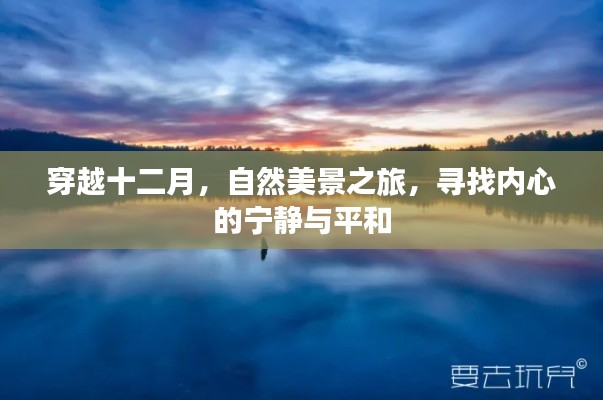 穿越十二月自然之旅，探寻内心宁静与平和的秘境