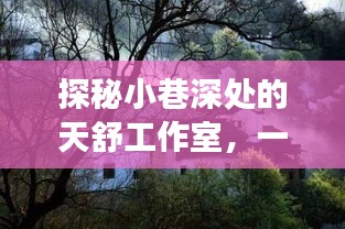 探秘小巷深处的天舒工作室，历史与音乐的交织奇缘