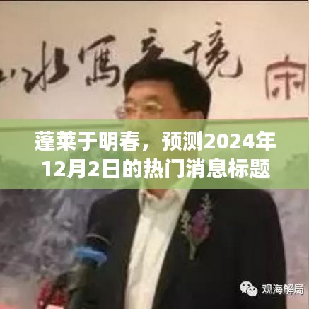蓬莱预测，2024年12月2日热门消息揭秘