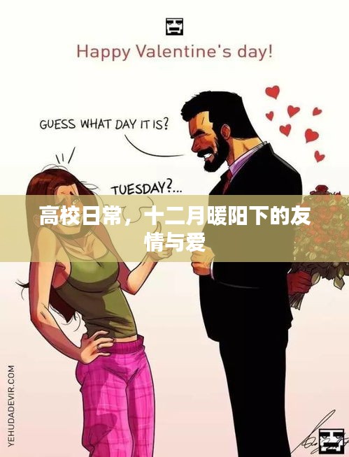 高校日常，十二月暖阳下的友情与爱时光