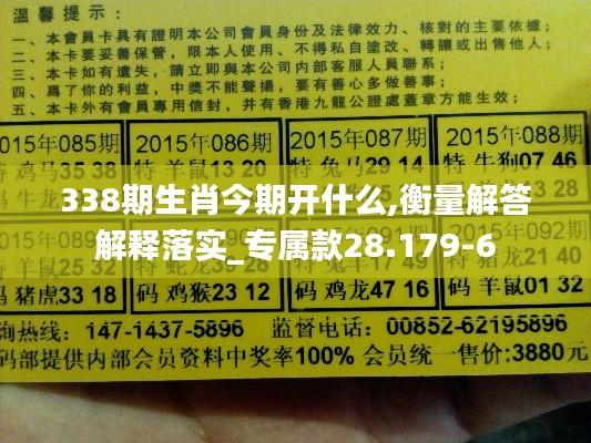 338期生肖今期开什么,衡量解答解释落实_专属款28.179-6