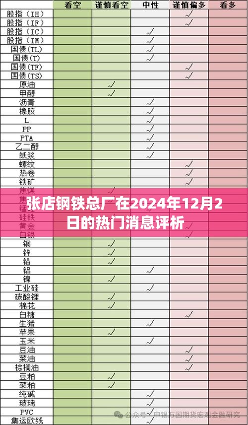 张店钢铁总厂2024年12月2日热门消息评析，深度解读与观点分享