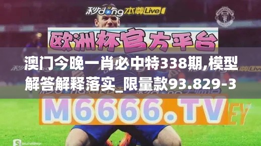 澳门今晚一肖必中特338期,模型解答解释落实_限量款93.829-3