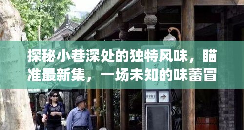 小巷深处的独特风味，未知味蕾冒险之旅最新集探秘之旅