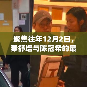 秦舒培与陈冠希最新动态回顾与影响分析，聚焦十二月二日观察报告