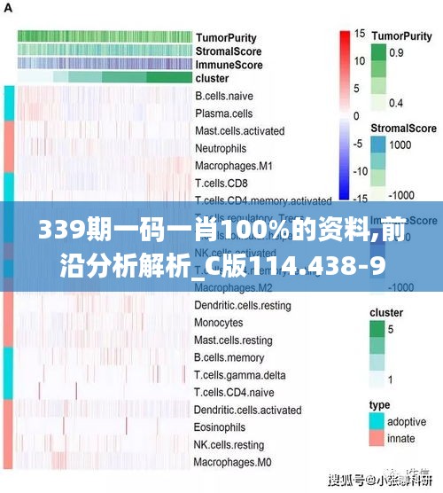 339期一码一肖100%的资料,前沿分析解析_C版114.438-9
