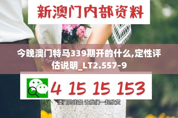 今晚澳门特马339期开的什么,定性评估说明_LT2.557-9