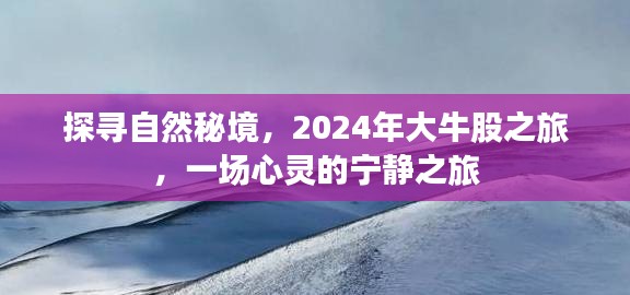 探寻自然秘境，心灵宁静之旅，探寻大牛股之旅 2024年行记