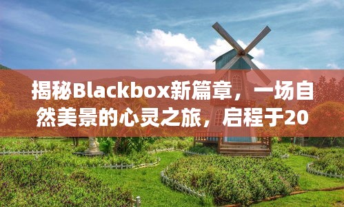 Blackbox新篇章揭秘，心灵之旅启程于自然美景之中，启程日期2024年12月2日