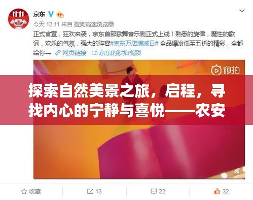 农安最新招聘启航，探索自然美景之旅，寻找内心的宁静与喜悦