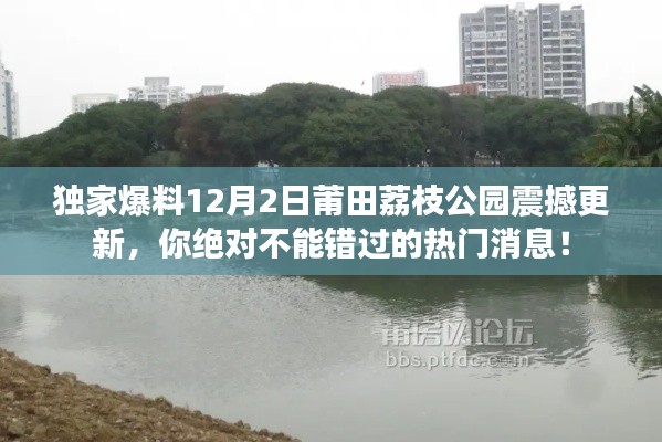 独家揭秘，莆田荔枝公园12月2日全新升级，热门更新不容错过！