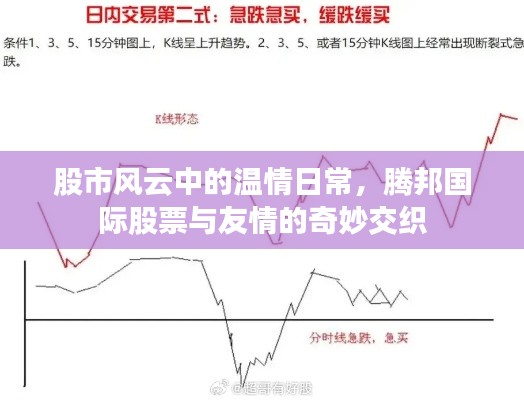 股市风云中的温情与友情，腾邦国际股票的奇妙旅程