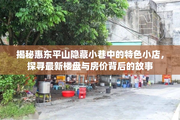 探访惠东平山隐藏小巷的特色小店与楼盘房价背后的故事