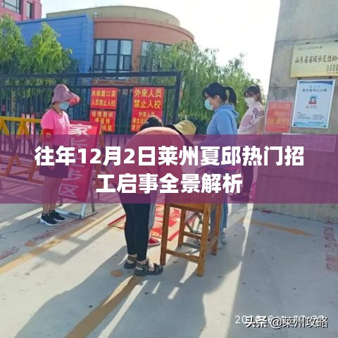 莱州夏邱热门招工启事全景解读，历年12月2日招工趋势分析