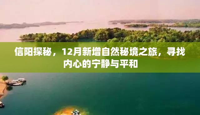 探访秘境信阳，探寻自然秘境之旅，寻找心灵宁静与平和的圣地