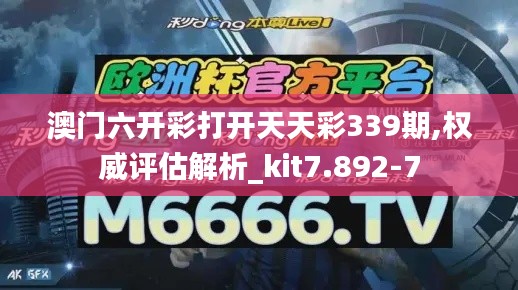 澳门六开彩打开天天彩339期,权威评估解析_kit7.892-7