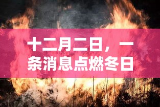安全门 第181页