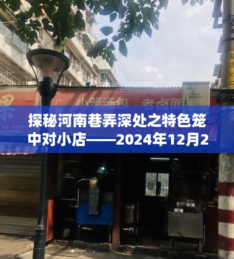 探秘河南巷弄深处的特色笼中对小店，独家预测，2024年12月2日探访之旅