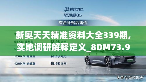 新奥天天精准资料大全339期,实地调研解释定义_8DM73.903-2