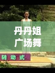 丹丹姐广场舞新篇章，历年12月2日最新视频回眸与影响力