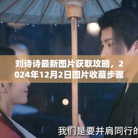 刘诗诗最新图片收藏指南，2024年12月2日获取攻略与步骤指南（适合初学者与进阶用户）