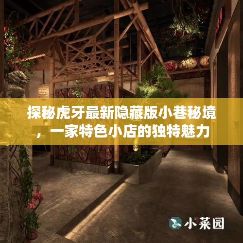 探秘虎牙小巷秘境，特色小店的独特魅力