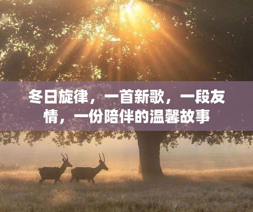 冬日旋律，友情与陪伴的温馨故事