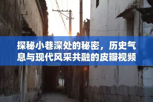 探秘历史与现代交融的皮瓣视频小店，小巷深处的秘密风采