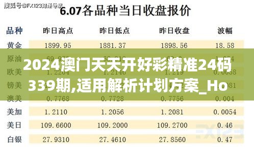 2024澳门天天开好彩精准24码339期,适用解析计划方案_Holo51.930-8