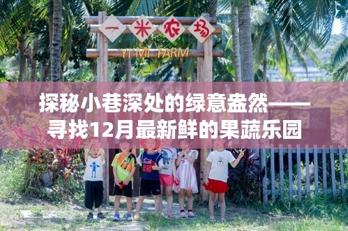 探秘小巷深处的绿意盎然，揭秘十二月最新鲜果蔬乐园