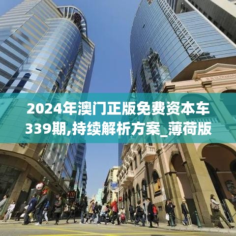2024年澳门正版免费资本车339期,持续解析方案_薄荷版51.421-9