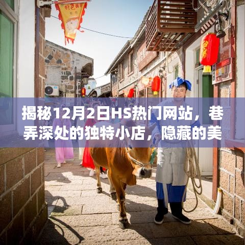 揭秘HS热门网站隐藏美食天堂，巷弄深处的独特小店（12月2日探秘之旅）