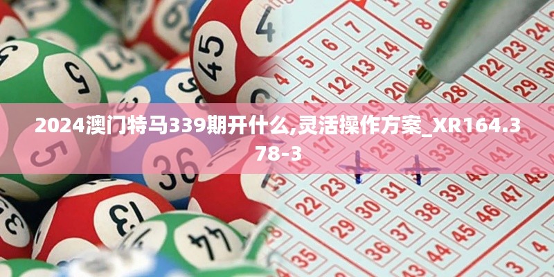 2024澳门特马339期开什么,灵活操作方案_XR164.378-3