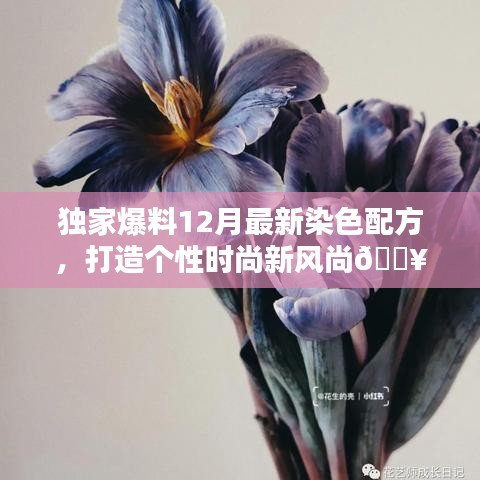 独家首发！12月最新染色配方揭秘，引领个性时尚新潮流（小红书独家爆料）