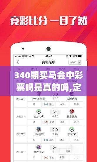 340期买马会中彩票吗是真的吗,定性分析说明_VR版91.504-9