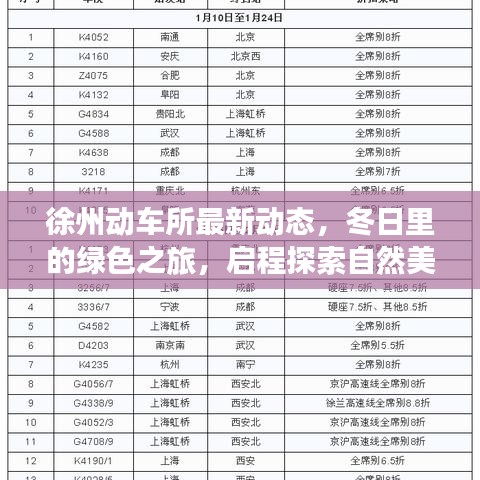 徐州动车所冬日动态，绿色之旅启程，探寻自然美景的奥秘
