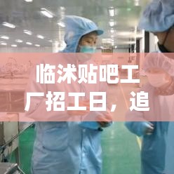 临沭贴吧工厂招工日，探寻自然美景，重拾内心宁静之旅