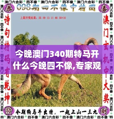 今晚澳门340期特马开什么今晚四不像,专家观点解析_AP10.353-4
