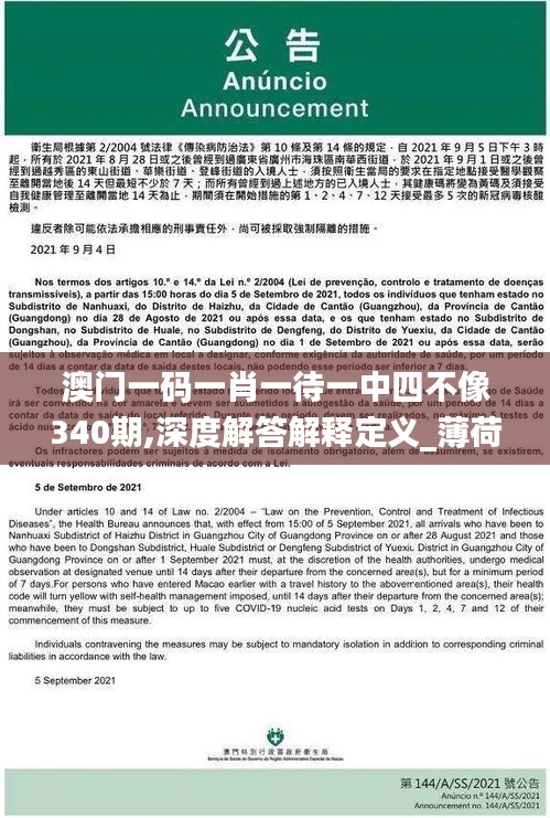 澳门一码一肖一待一中四不像340期,深度解答解释定义_薄荷版56.307-6