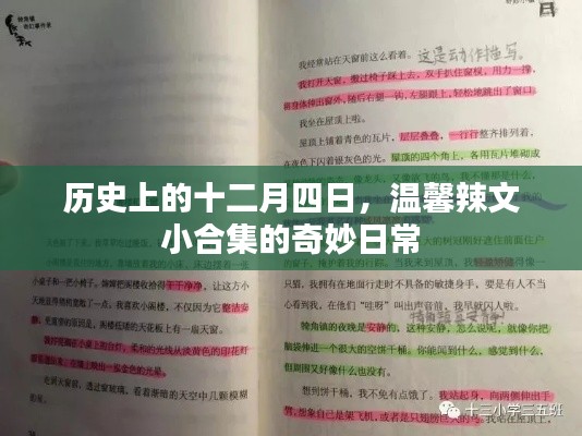 死得其所 第2页